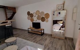 Duplex 40M2 Cocooning Coeur De Ville Avec Parking